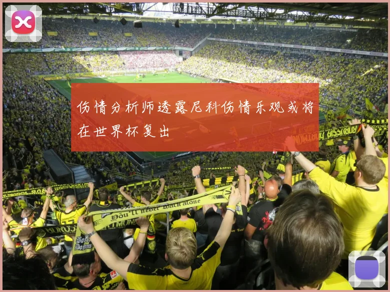 伤情分析师透露尼科伤情乐观或将在世界杯复出